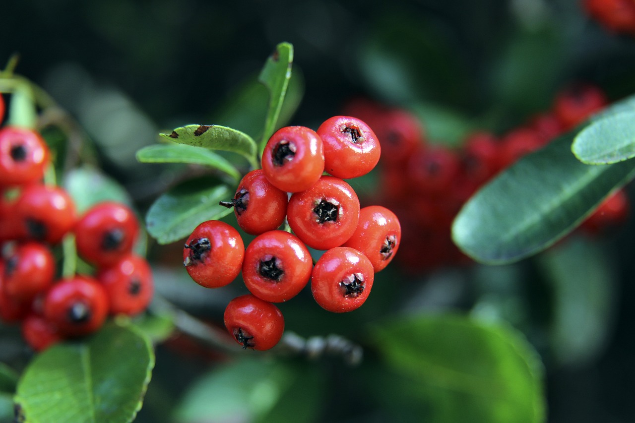 提供有益借 提供有益借