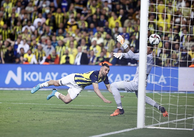 教职工的业 教职工的业