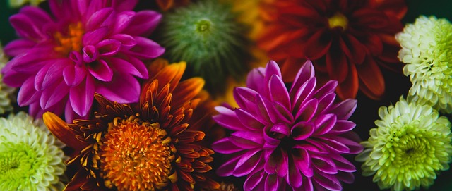 在勇士的这 在勇士的这